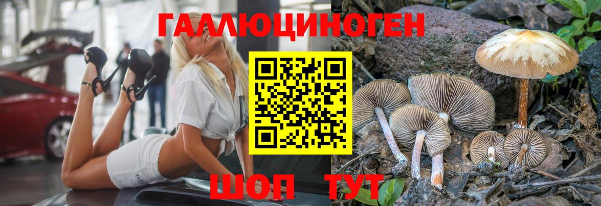 Галлюциногенные грибы Cubensis Пенза