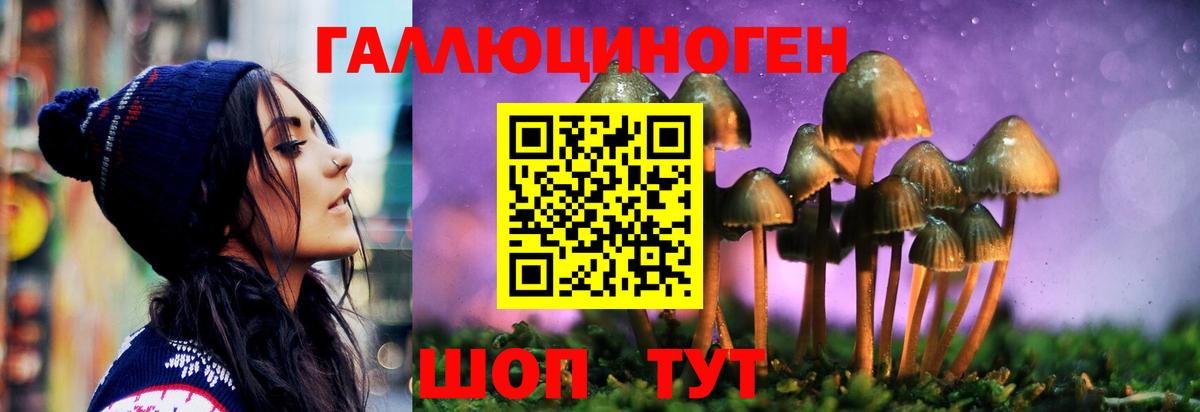 Галлюциногенные грибы GOLDEN TEACHER  Вход с VPN  сколько стоит  Пенза 
