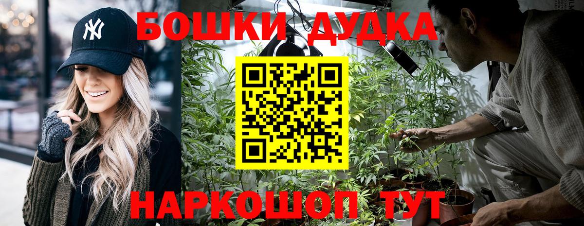 Каннабис конопля Пенза